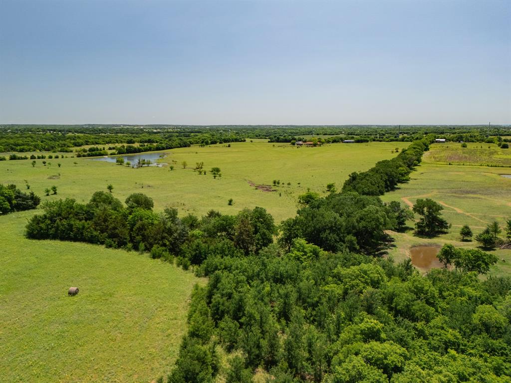 12099 County Road 1028 Blue Ridge, TX 75424 - Photo 35 of 36 a view of a lake with a big yard