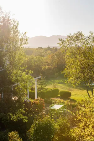 a view of a yard with swimming pool