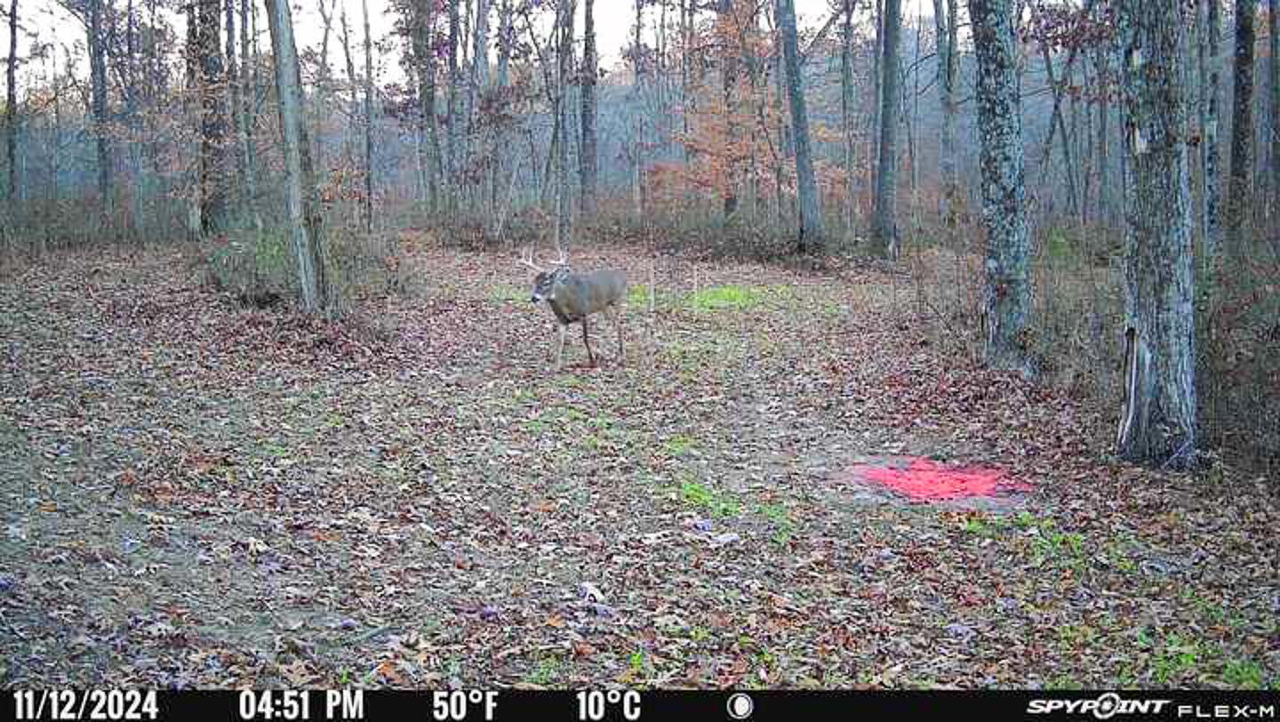 0 Chase Road Albany, OH 45710 - Photo 37 of 37 Chase Rd-36