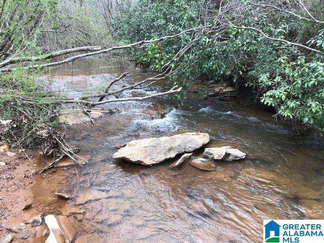 2651 Owens Road, Unit 31 ACRES Ashland, AL 36251 - Photo 1 of 7