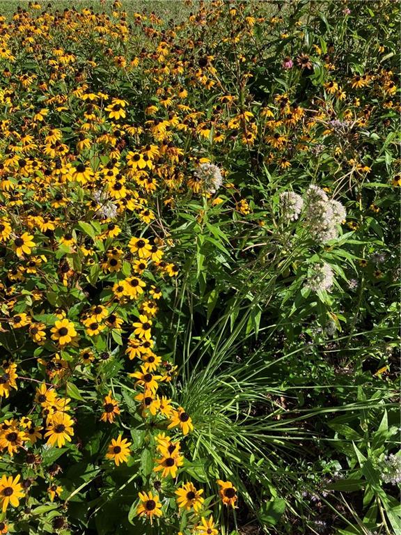 1055 East 900th Road Lawrence, KS 66047 - Photo 2 of 43