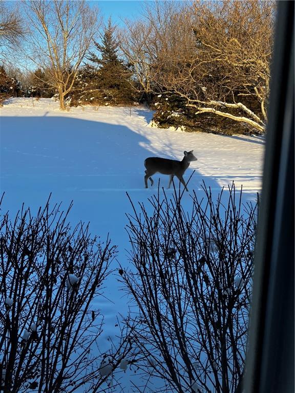 1055 East 900th Road Lawrence, KS 66047 - Photo 34 of 43