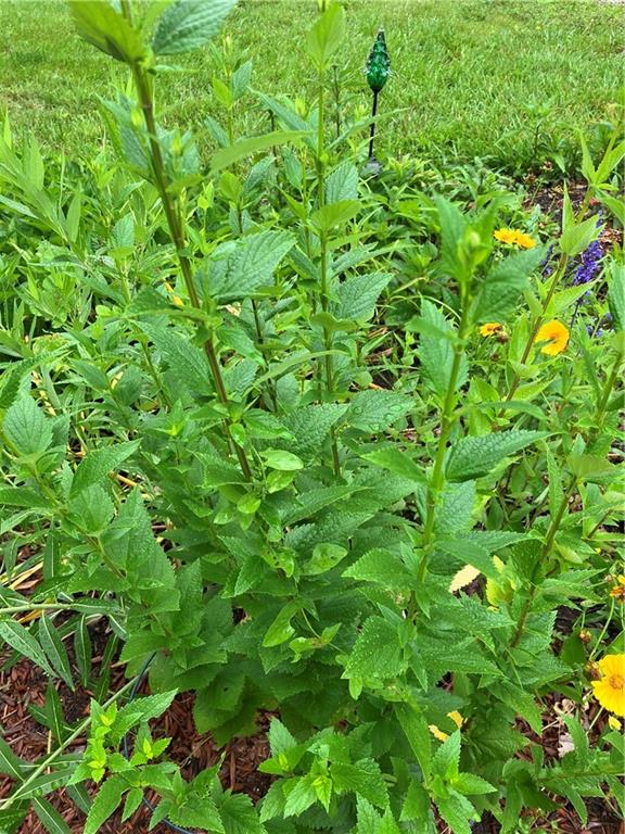 1055 East 900th Road Lawrence, KS 66047 - Photo 35 of 43