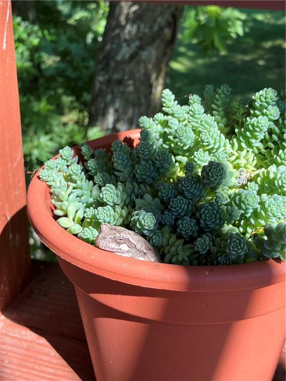 1055 East 900th Road Lawrence, KS 66047 - Photo 36 of 43