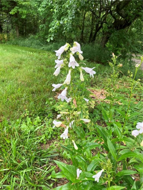 1055 East 900th Road Lawrence, KS 66047 - Photo 38 of 43