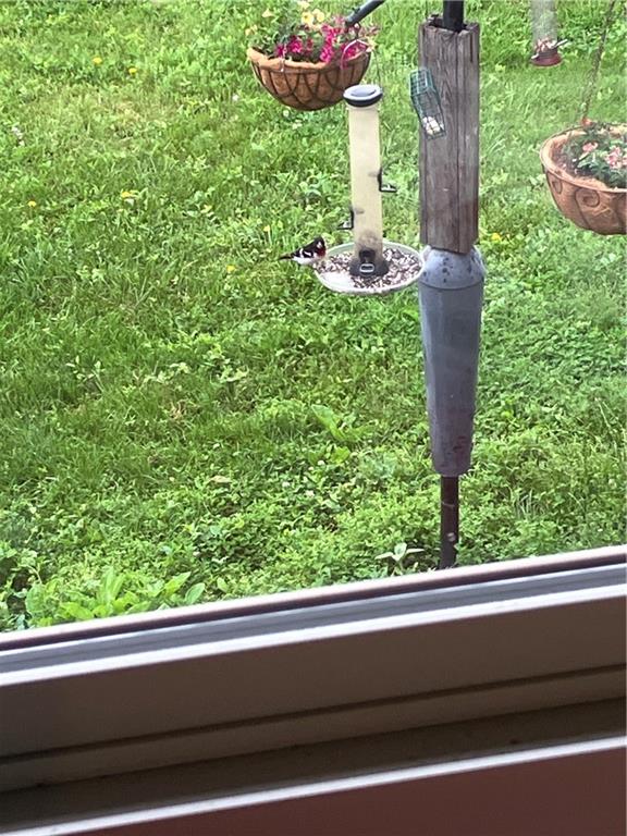 1055 East 900th Road Lawrence, KS 66047 - Photo 39 of 43