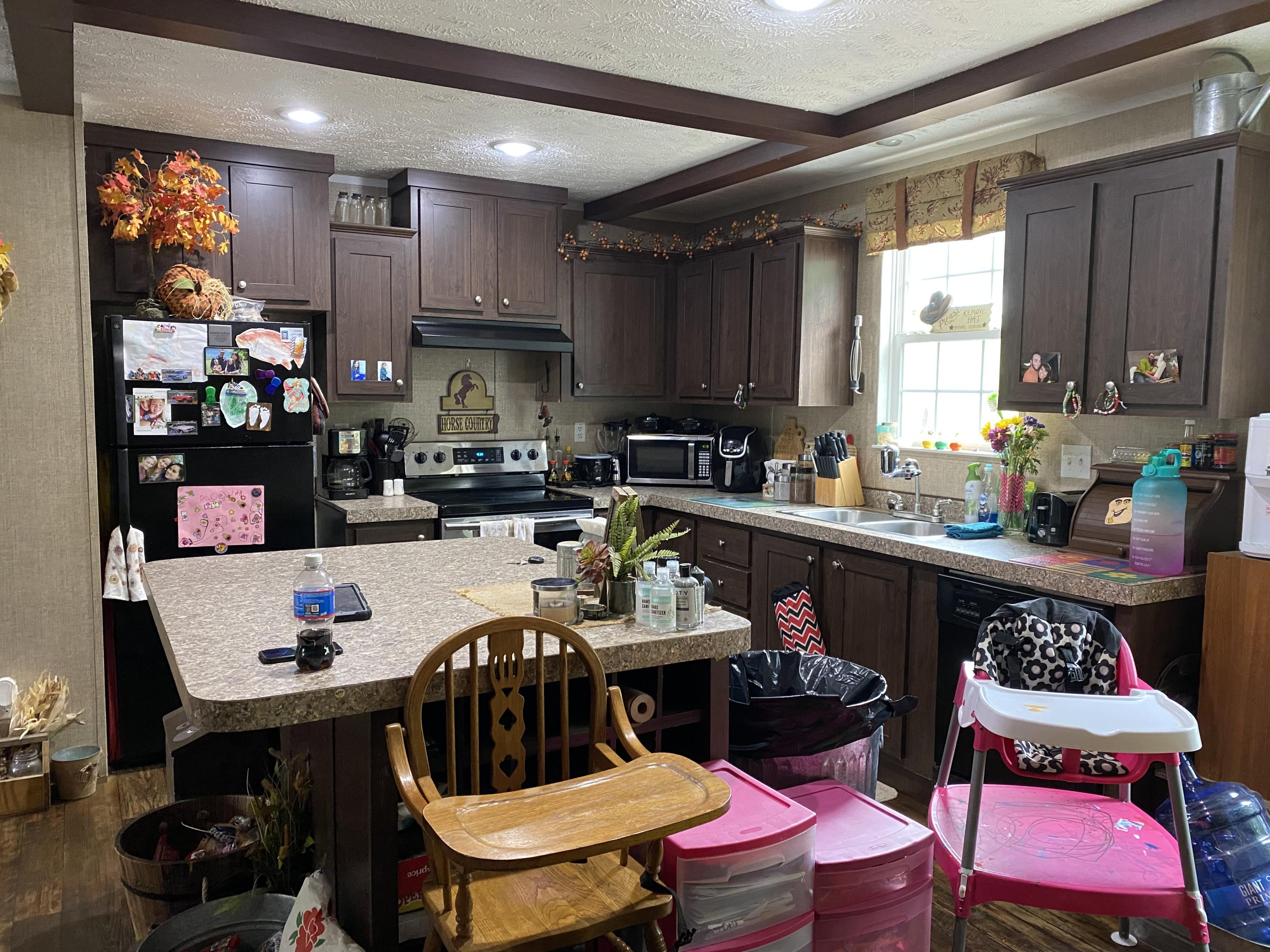 5035 Old Stage Road Chuckey, TN 37641 - Photo 6 of 9 IMG-3223