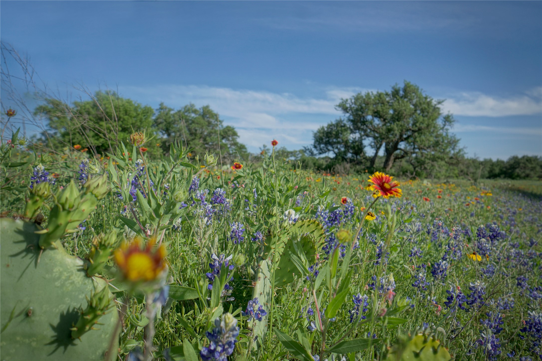 Lot 1 Legacy Ridge Burnet, TX 78611 - Photo 13 of 15