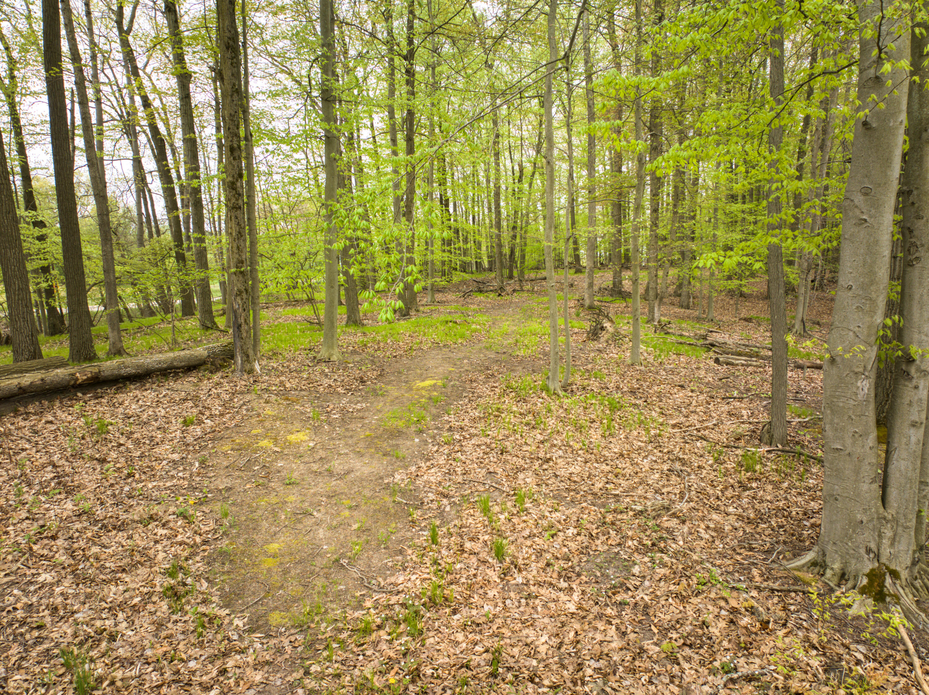 4848 Cutler Road Northwest Six Lakes, MI 48886 - Photo 14 of 23 DJI_20250427170437_0993_D_51