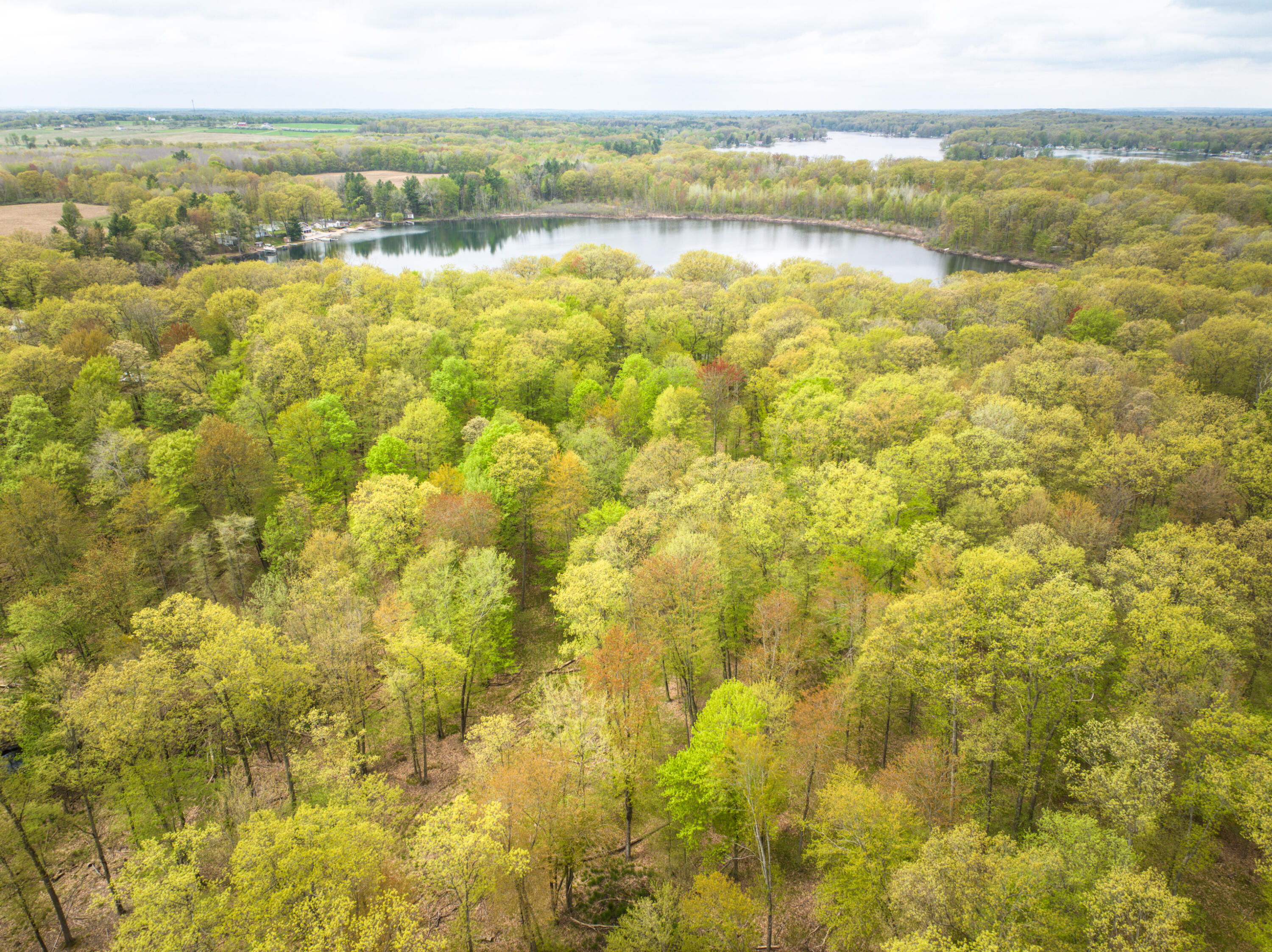 4848 Cutler Road Northwest Six Lakes, MI 48886 - Photo 17 of 23 DJI_20250427171432_0044_D_61