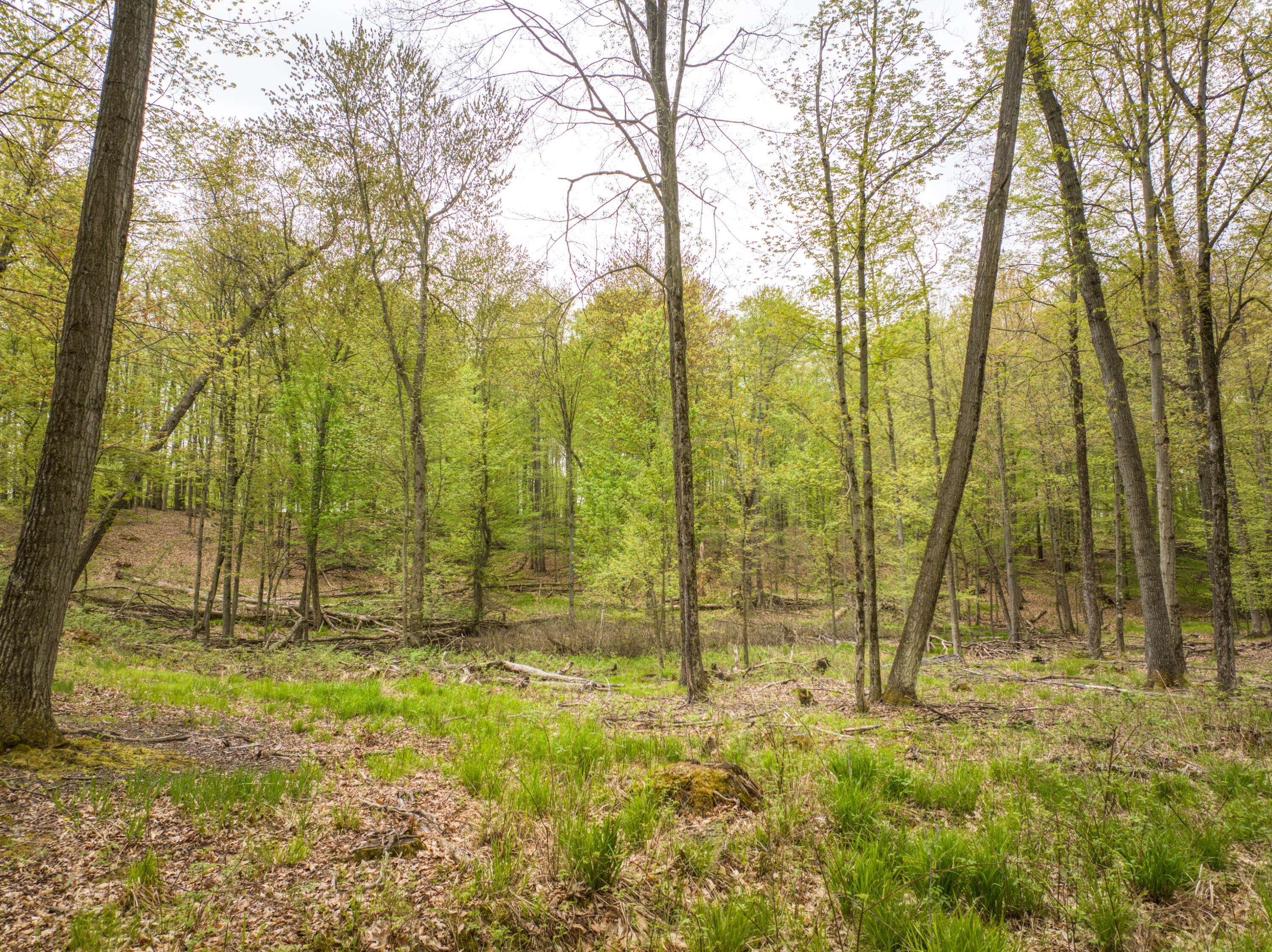 4848 Cutler Road Northwest Six Lakes, MI 48886 - Photo 18 of 23 DJI_20250427171906_0074_D_67