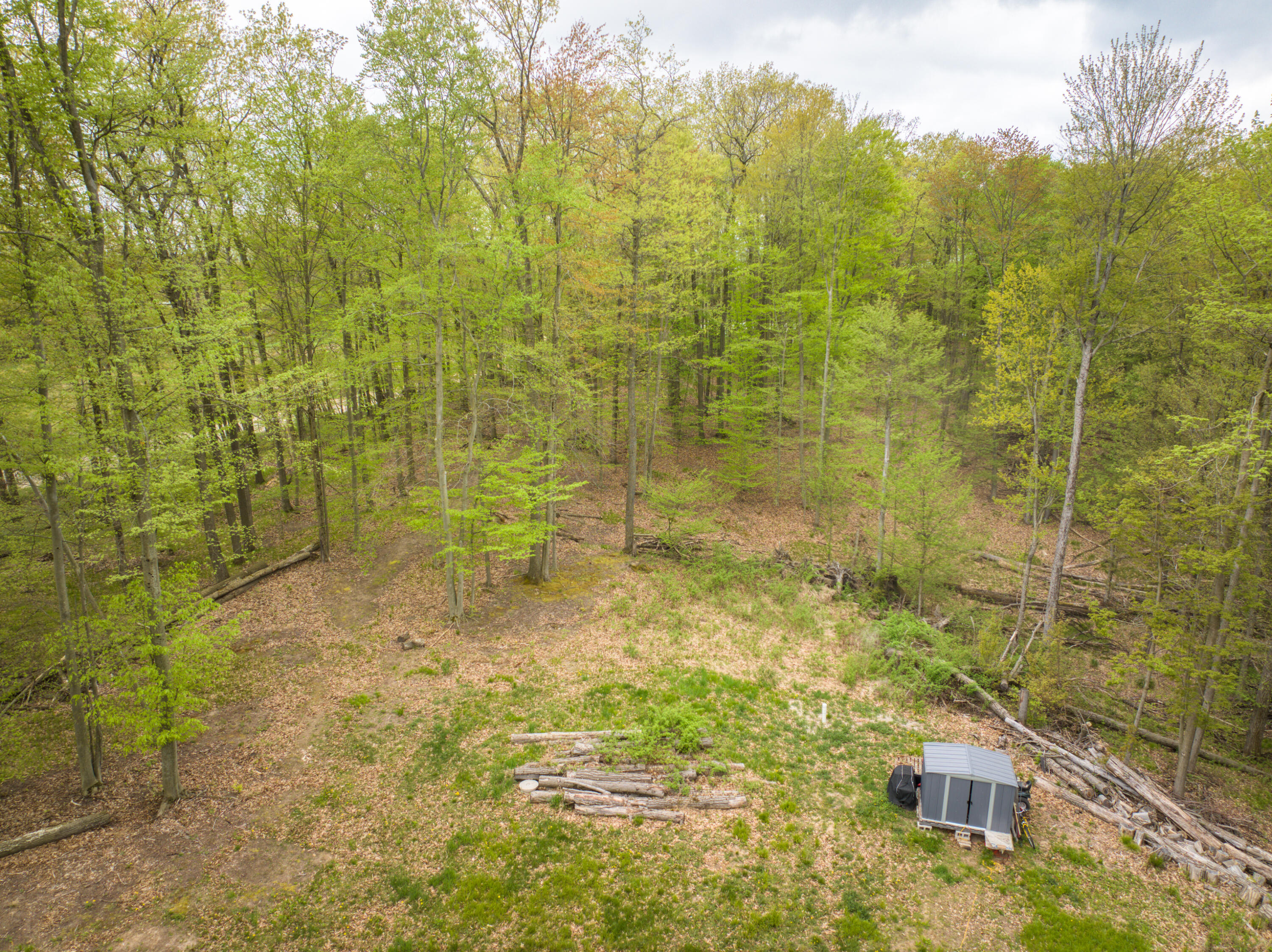 4848 Cutler Road Northwest Six Lakes, MI 48886 - Photo 9 of 23 DJI_20250427170412_0988_D_50