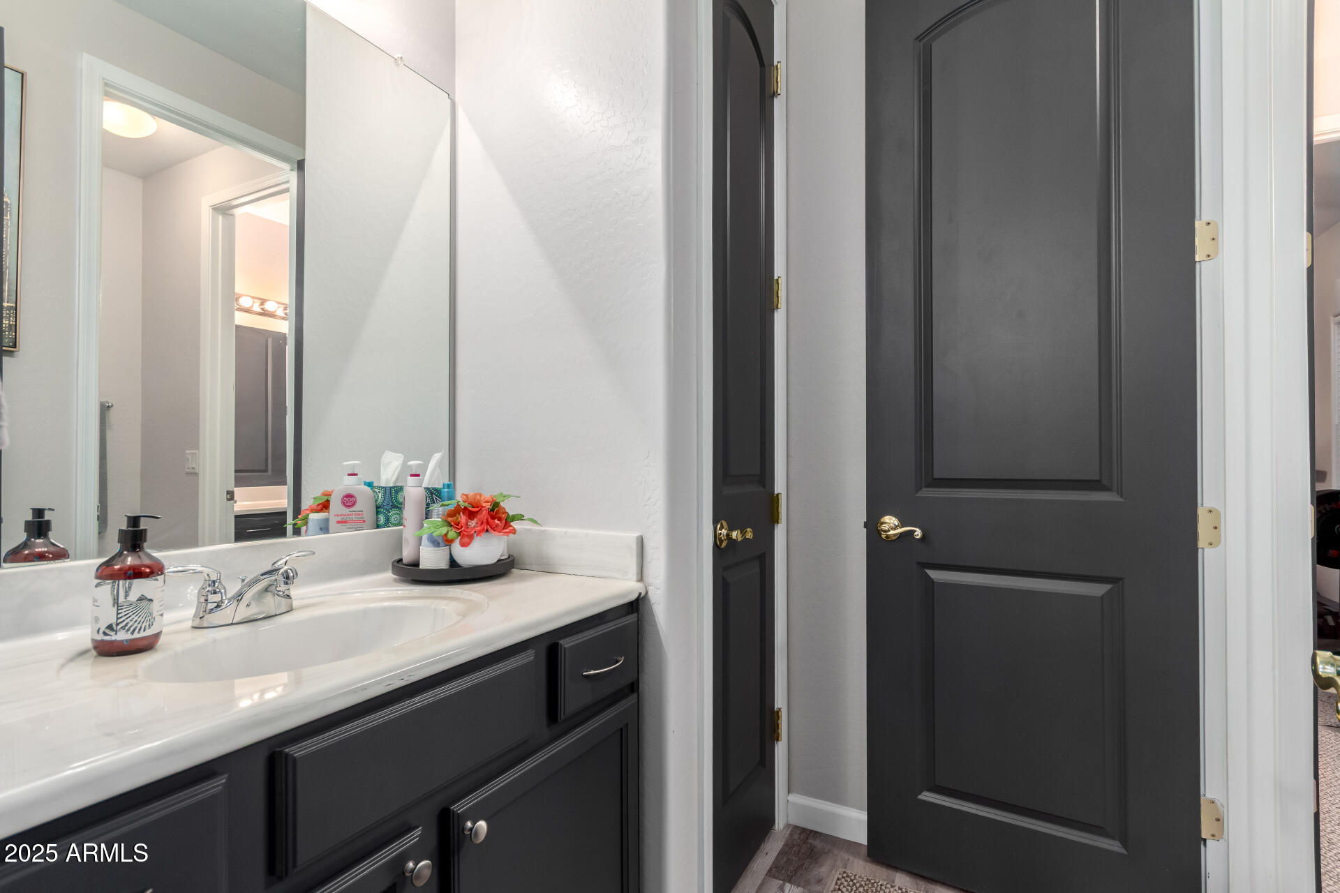 854 South Del Rio Court Apache Junction, AZ 85119 - Photo 40 of 57 a bathroom with a sink and a mirror