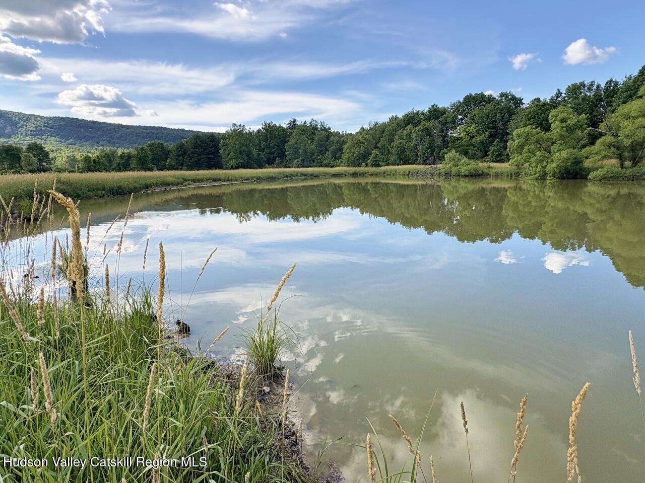 239 Springtown Road New Paltz, NY 12561 - Photo 10 of 42 Pond