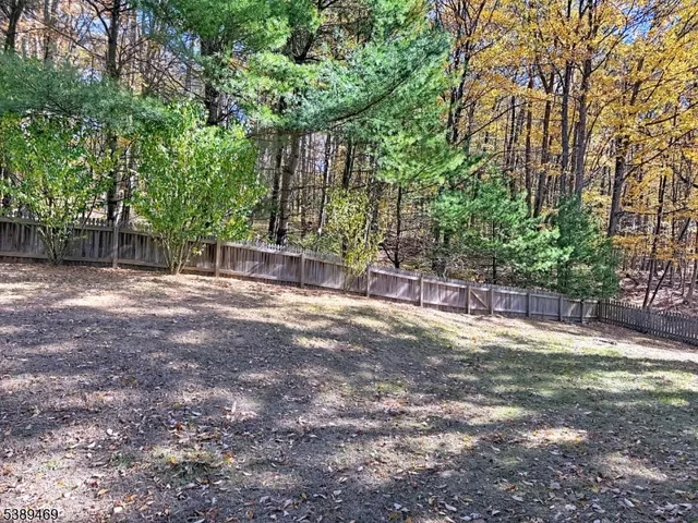 a view of outdoor space with trees