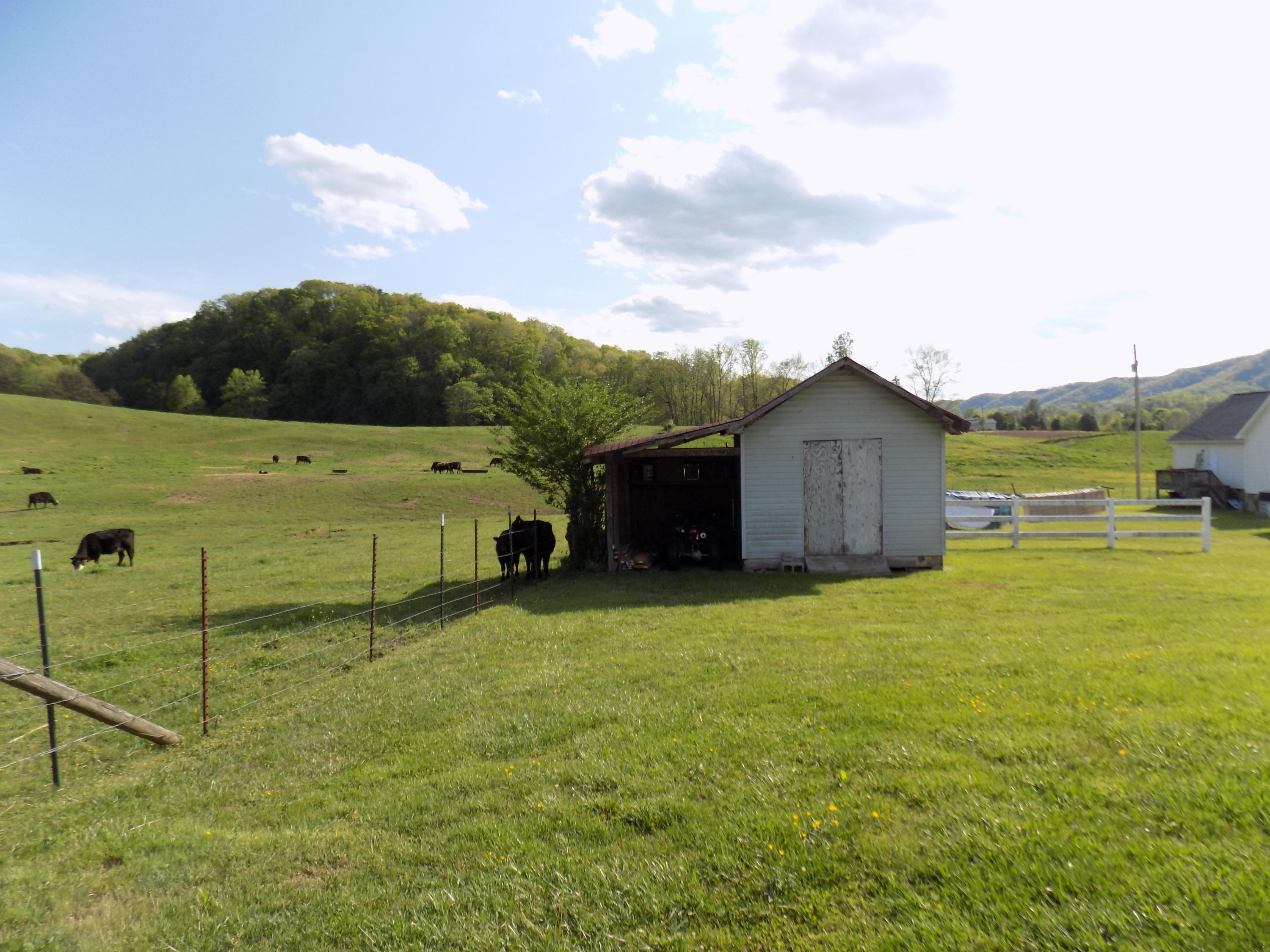 3872 Dutch Valley Road Clinton, TN 37716 - Photo 13 of 31 DSCN3137