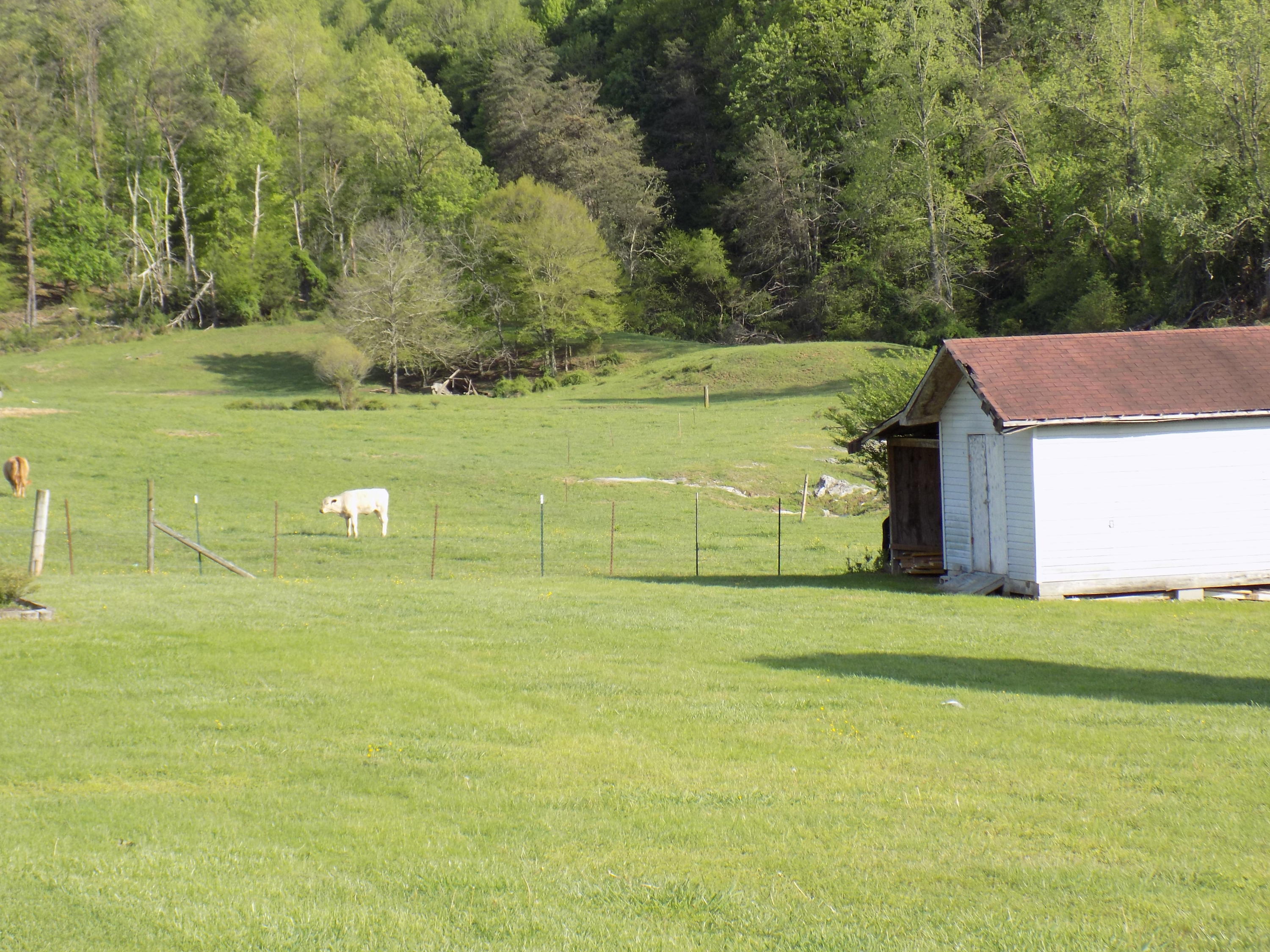 3872 Dutch Valley Road Clinton, TN 37716 - Photo 5 of 31 DSCN3127