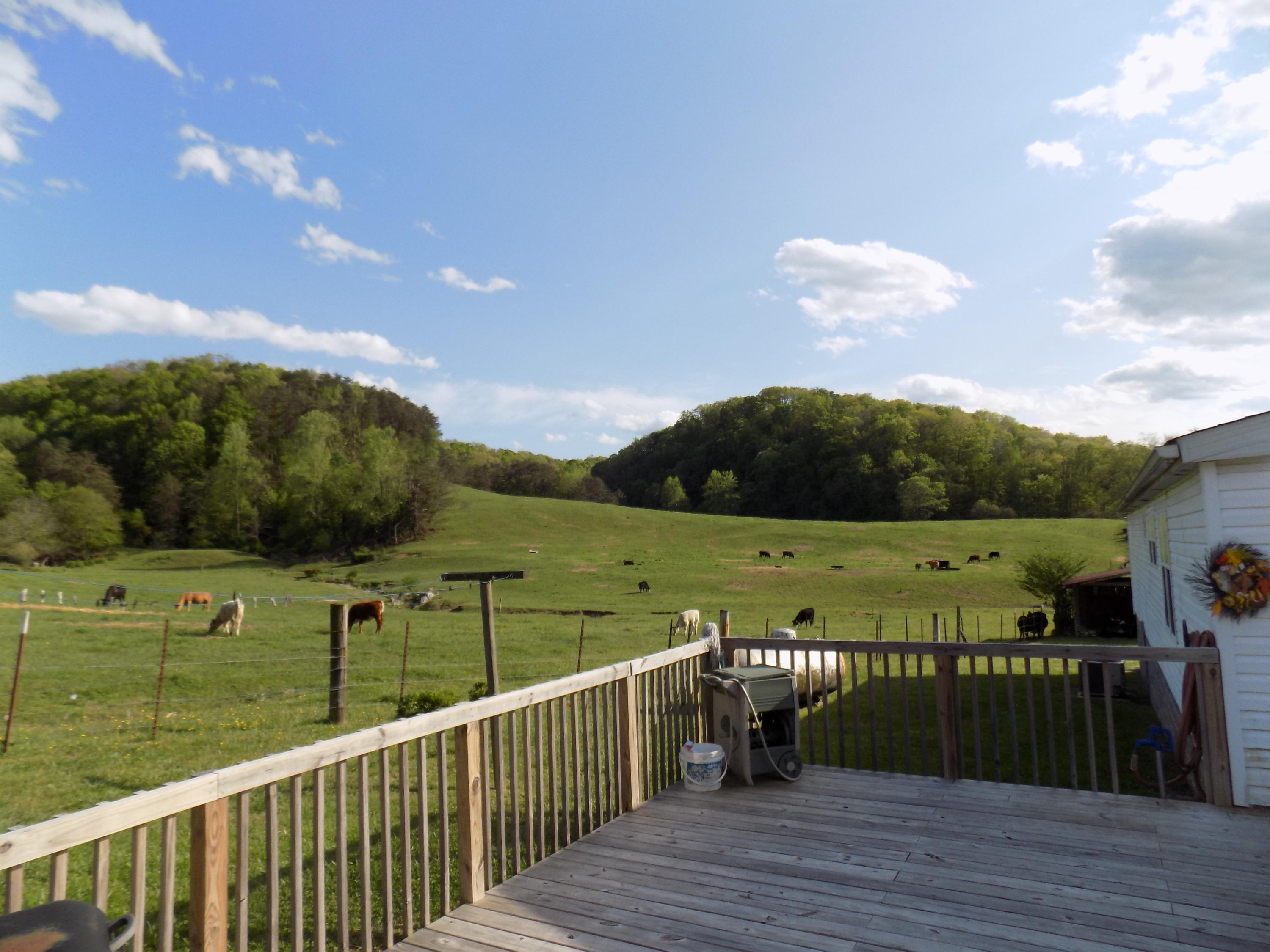 3872 Dutch Valley Road Clinton, TN 37716 - Photo 8 of 31 DSCN3131