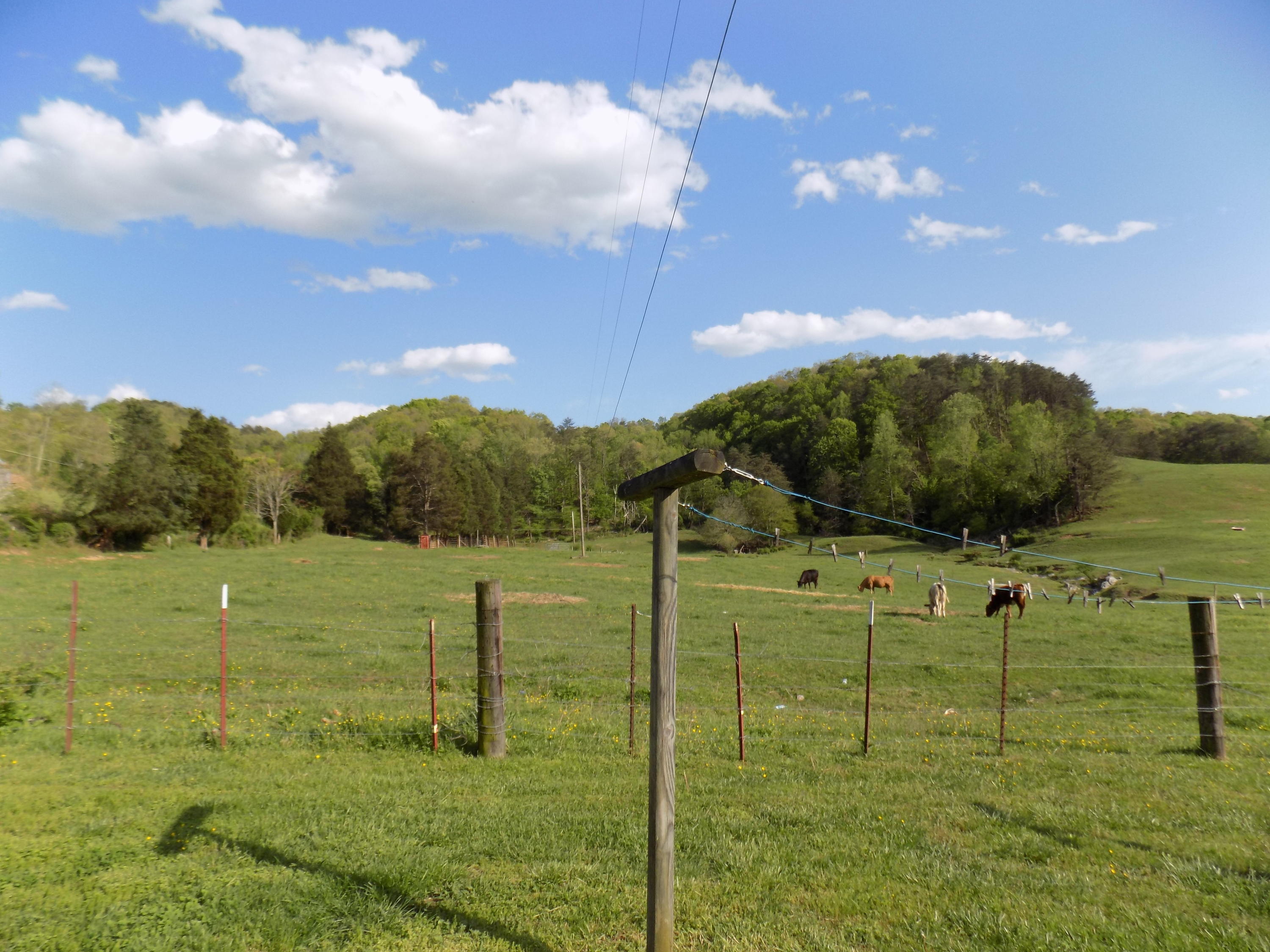 3872 Dutch Valley Road Clinton, TN 37716 - Photo 9 of 31 DSCN3132
