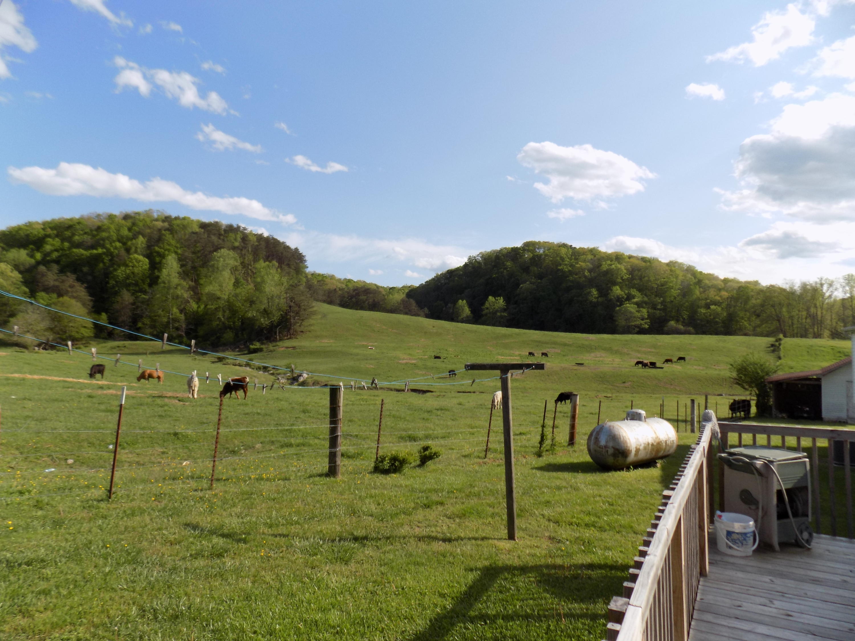 3872 Dutch Valley Road Clinton, TN 37716 - Photo 10 of 31 DSCN3133