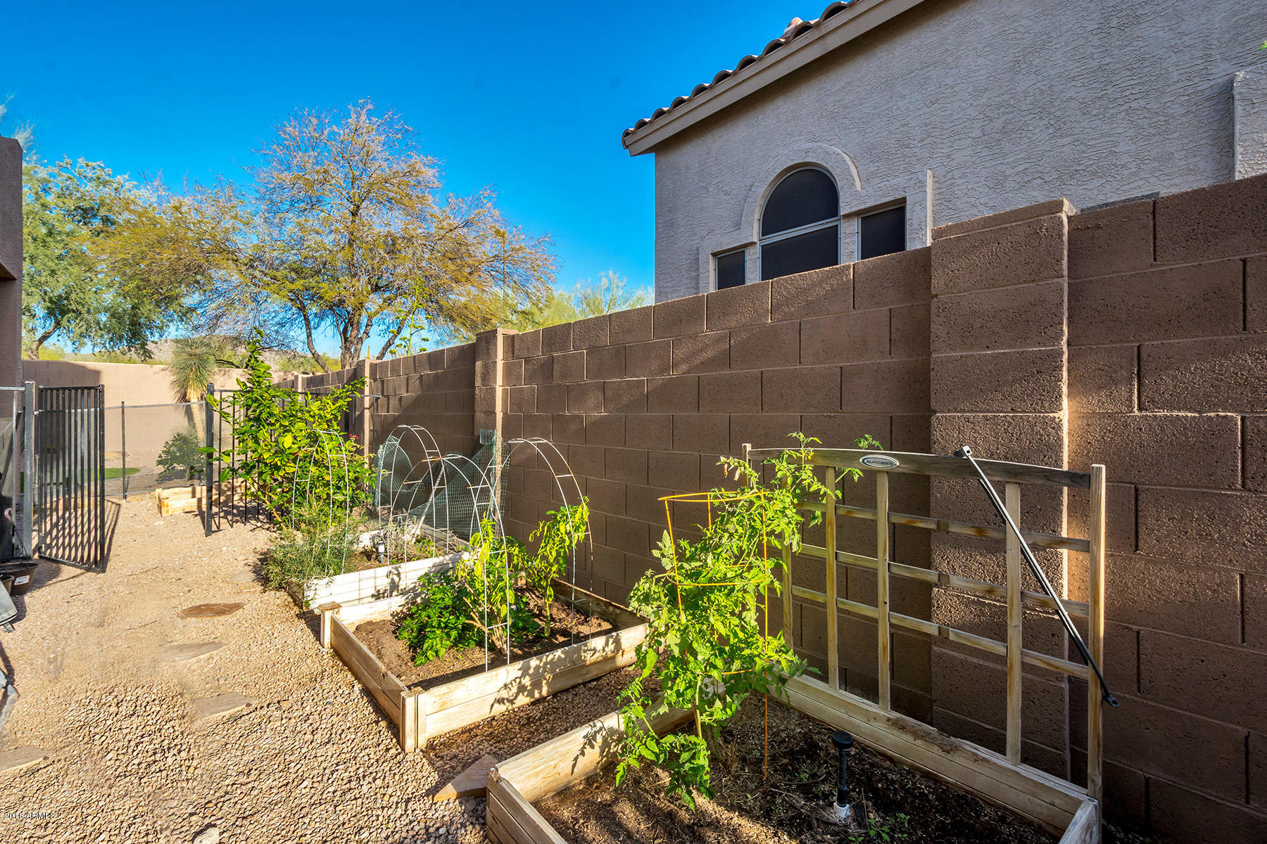 3060 North Ridgecrest, Unit 76 Mesa, AZ 85207 - Photo 17 of 19 Garden resized