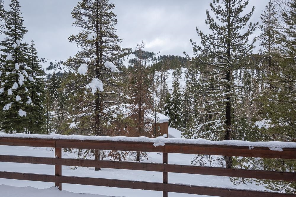 1380 Pine Trail Alpine Meadows, CA 96146 - Photo 2 of 21 a view of a wooden bench and trees in the background