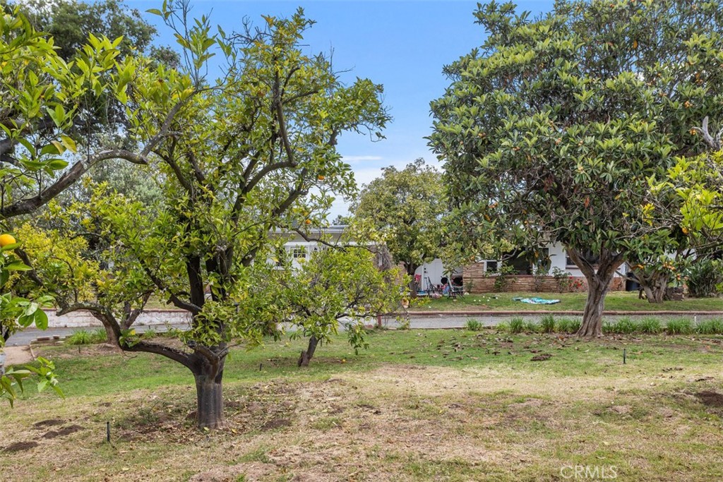 1840 Gum Tree Lane, Unit C Fallbrook, CA 92028 - Photo 3 of 37