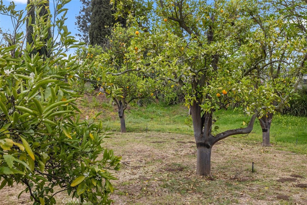 1840 Gum Tree Lane, Unit C Fallbrook, CA 92028 - Photo 5 of 37