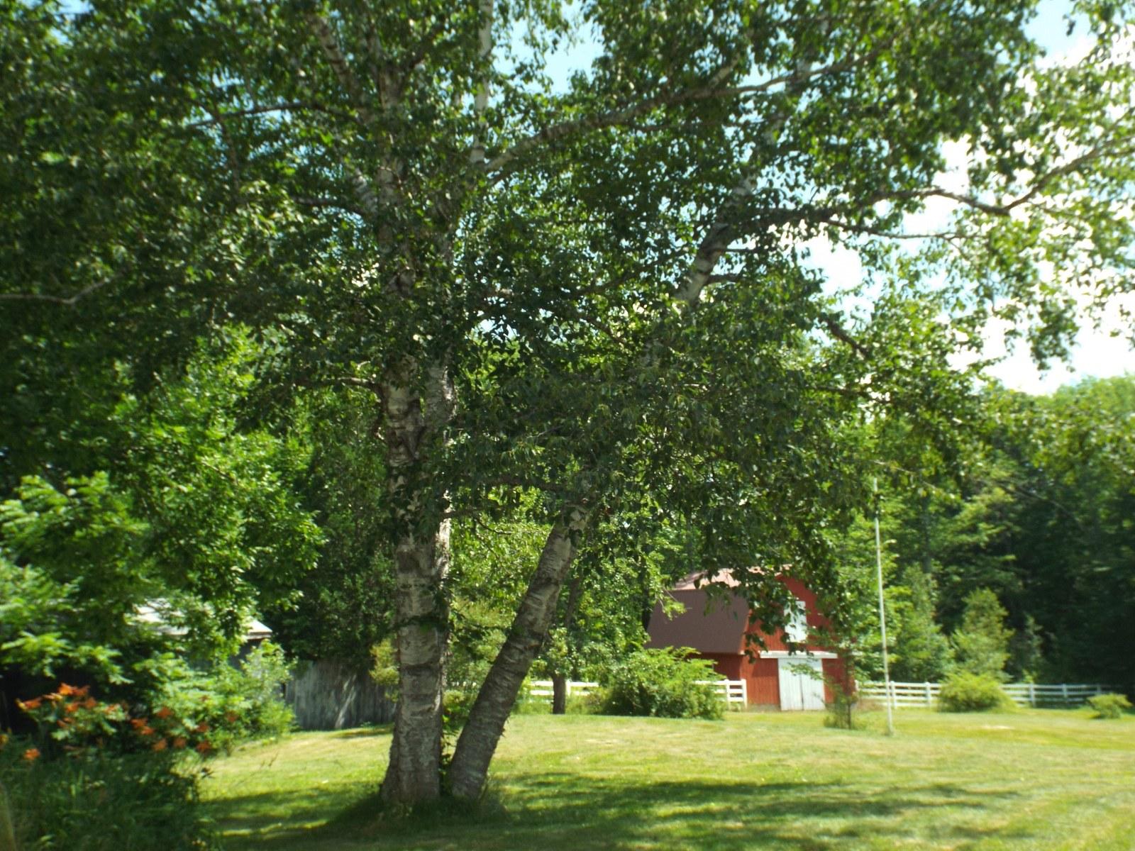 710 N Road Parsonsfield, ME 04047 - Photo 8 of 47 DSCF5113_1600x1200