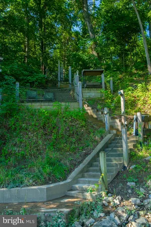 a view of a back yard