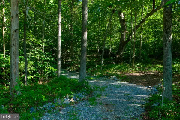 a view of backyard with green space