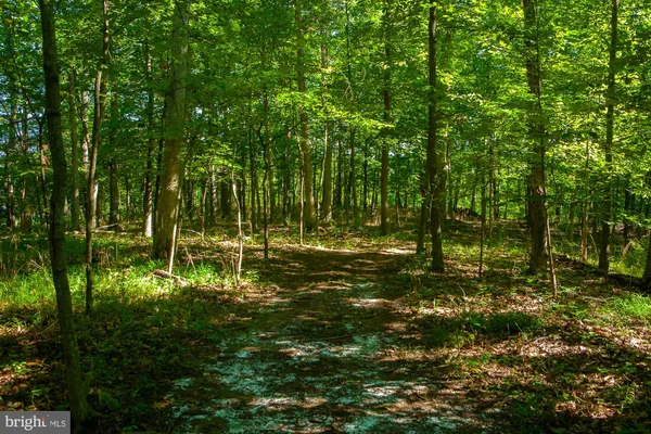 a view of outdoor space