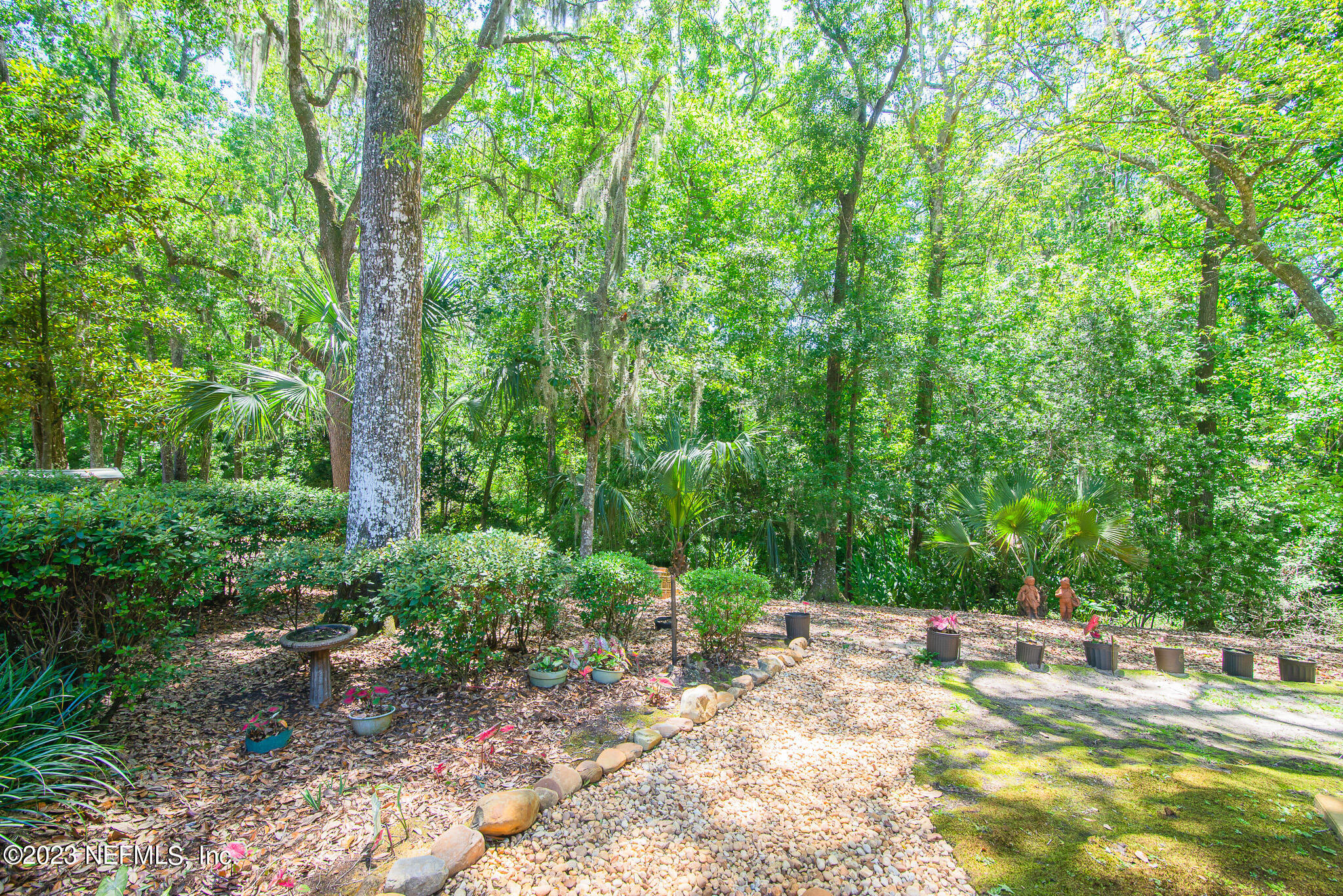 4233 Wicks Branch Road St. Augustine, FL 32086 - Photo 38 of 45 a view of a yard with plants and large trees