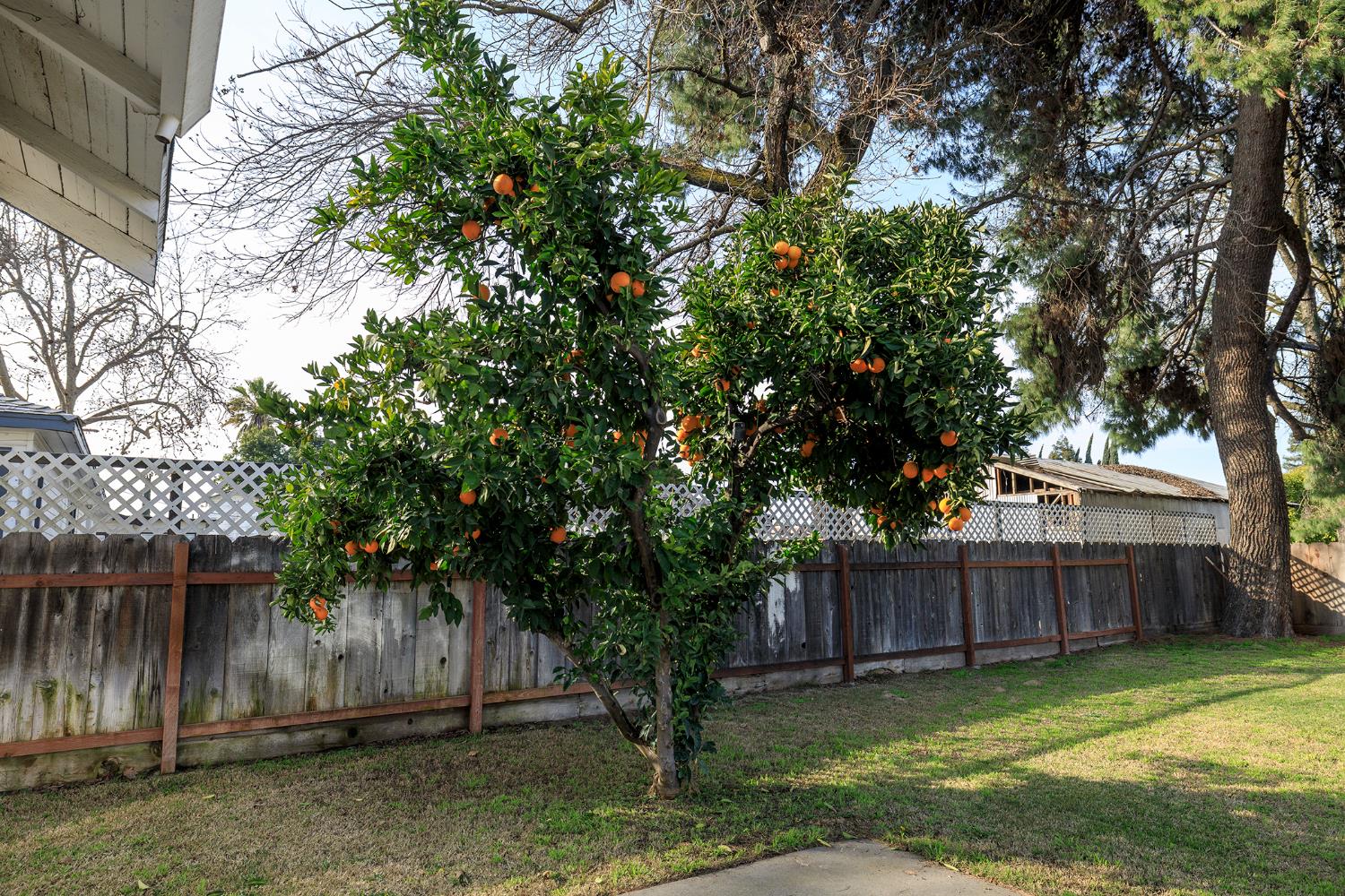 153 Almond Avenue Turlock, CA 95380 - Photo 33 of 34