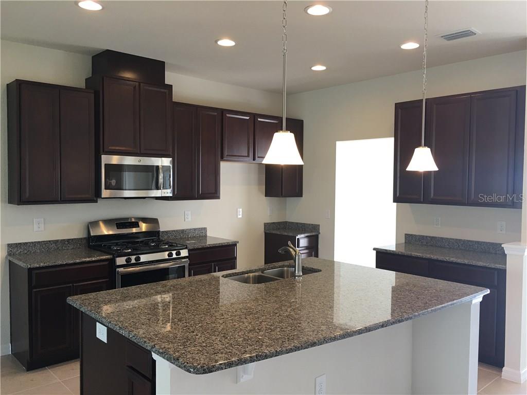 11046 Spring Point Circle Riverview, FL 33579 - Photo 2 of 25 Gallery Image 2
