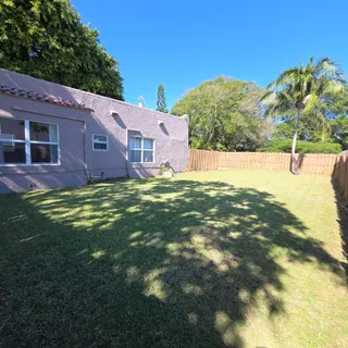 a view of a big yard with a large tree
