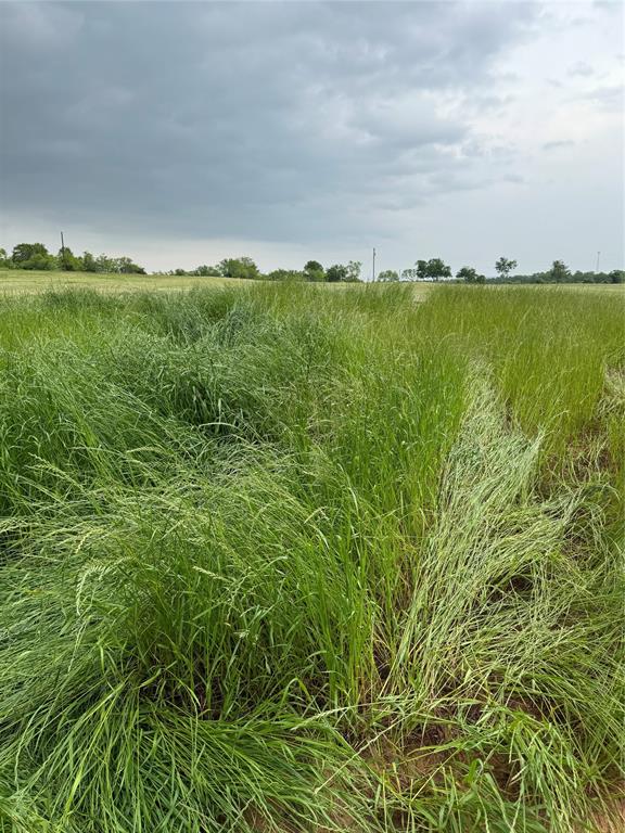 286 Cr 3735 Road Bridgeport, TX 76426 - Photo 3 of 4 a view of an ocean and beach