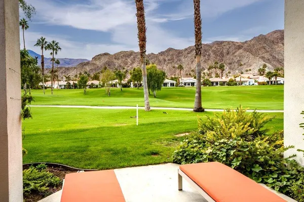 a view of a park with large trees