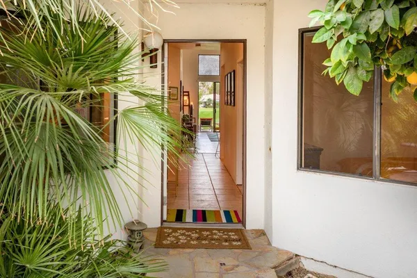 a view of a potted plants in front of door