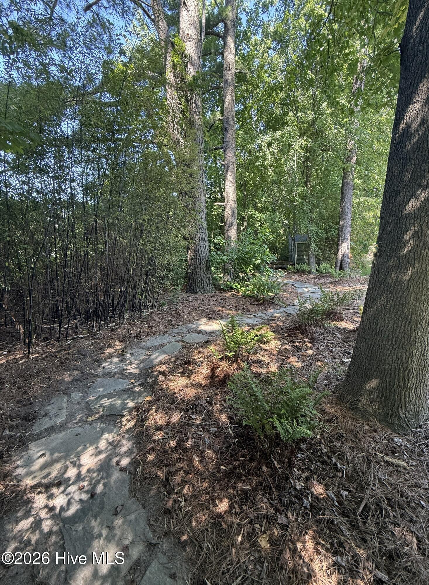 3700 South Bend Road Winterville, NC 28590 - Photo 45 of 50