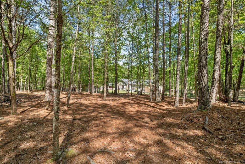 4318 State Rd S-46-995 Rock Hill, SC 29732 - Photo 38 of 43 Gallery Image 38