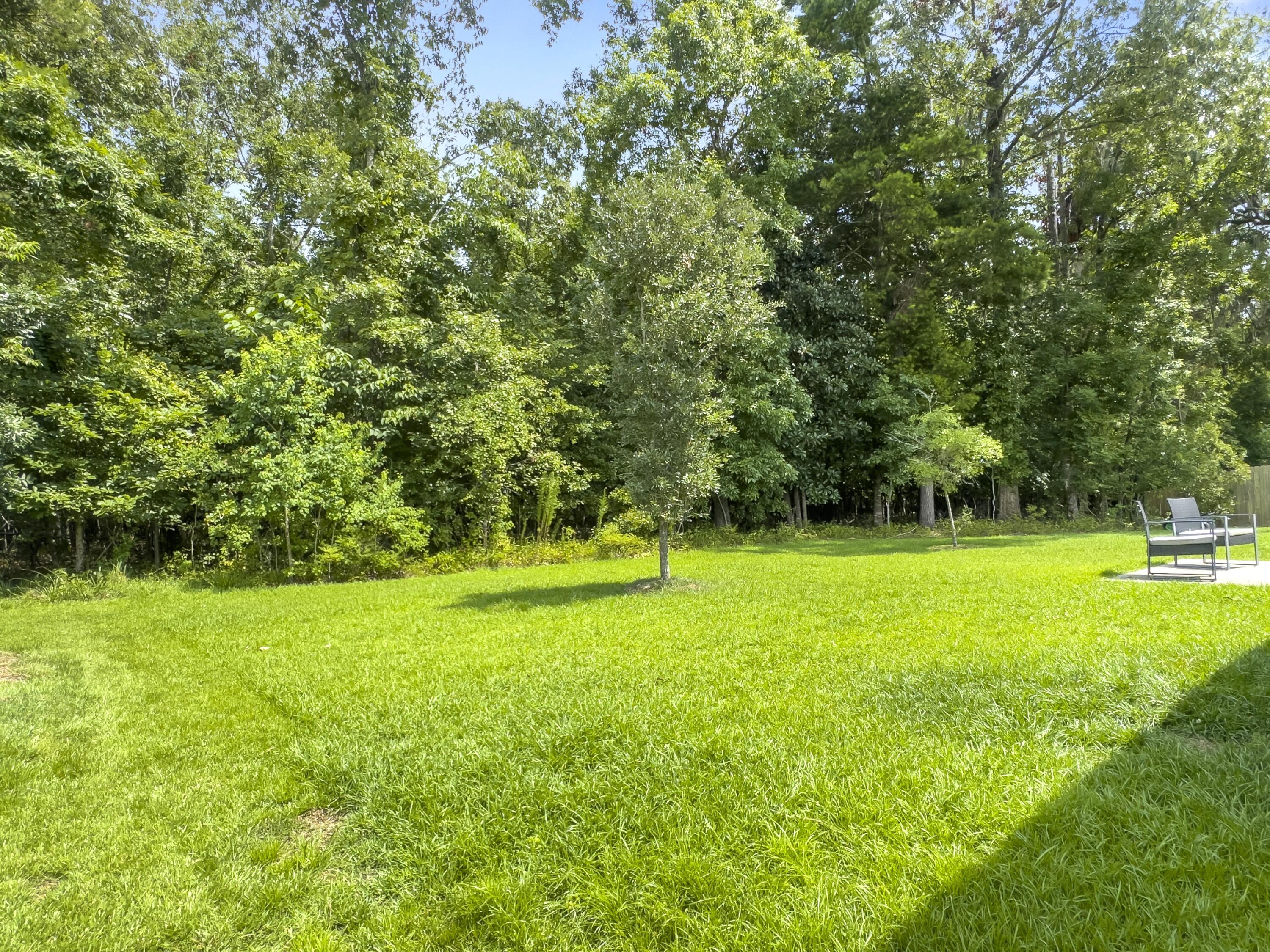 158 Brittondale Road Summerville, SC 29485 - Photo 23 of 38 BUFFER