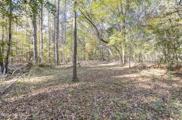 $185,000 | 0 Brenmar Street, Brandon, MS 39042