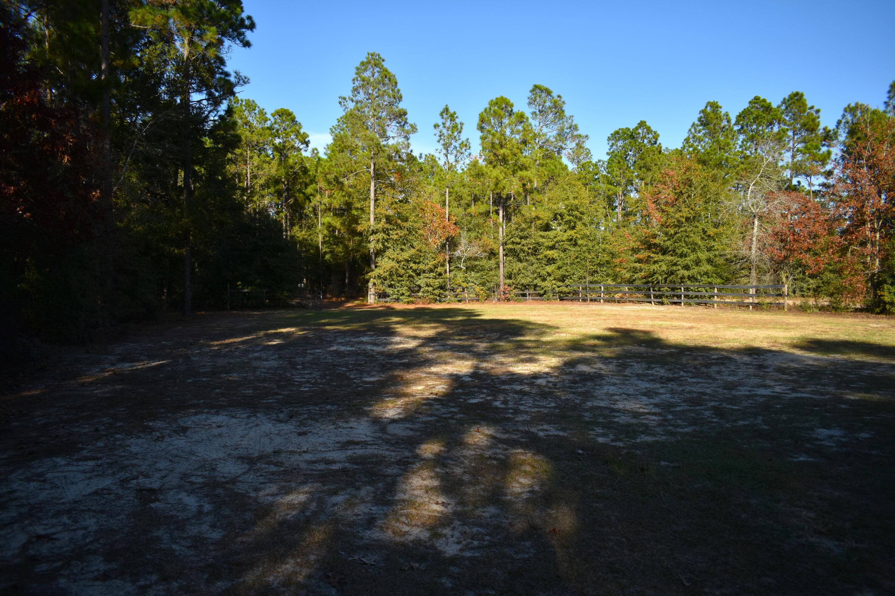 192 Pearl Bonnett Road Windsor, SC 29856 - Photo 6 of 25