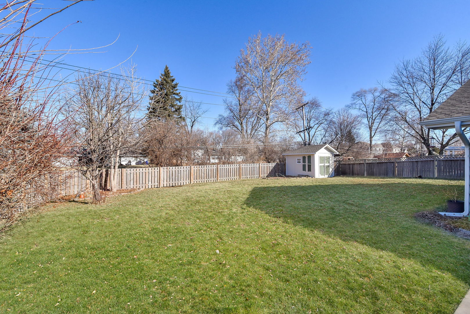 509 Turf Lane Wheaton, IL 60187 - Photo 16 of 16 a view of a park with large trees