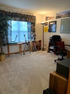 1802 Arbor Gate Drive Plainfield, IL 60586 - Photo 19 of 30