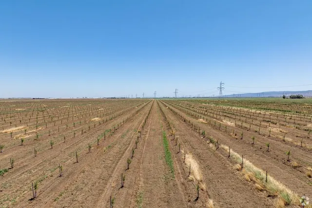 a view of an ocean from a balcony
