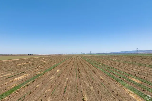 a view of an ocean and beach