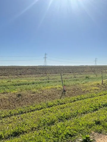a view of a lake with a mountain