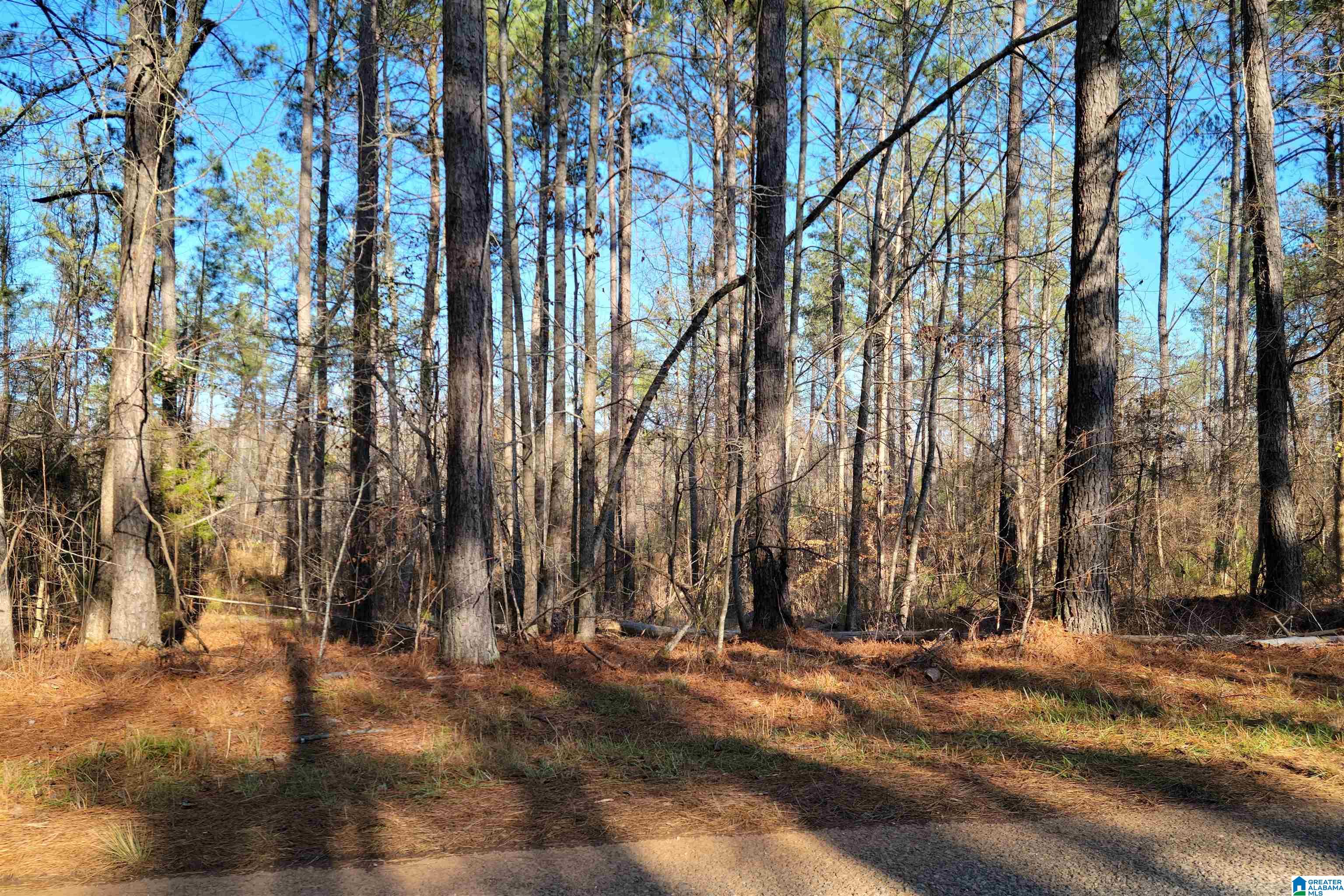 6 County Road, Unit 32 Wedowee, AL 36278 - Photo 6 of 6